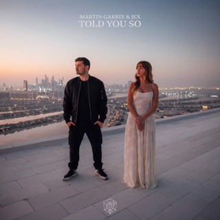 کاور آهنگ Told You So از Martin Garrix & Jex