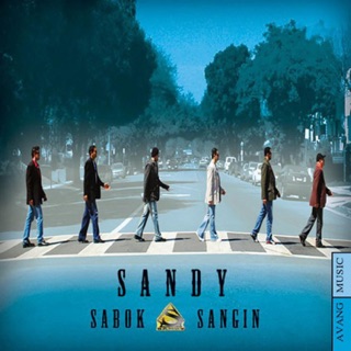 کاور آهنگ Tanham Gozashti از Sandy