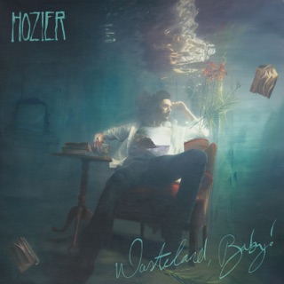 کاور آهنگ Shrike از Hozier