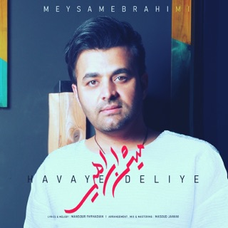 کاور آهنگ Havaye Deliye از Meysam Ebrahimi