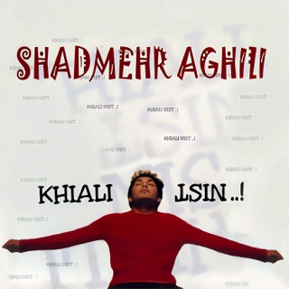 کاور آهنگ Mikham Beram از Shadmehr Aghili