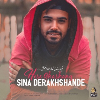 کاور آهنگ Hese Ghashang از Sina Derakhshande