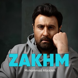 کاور آهنگ Zakhm از Mohammad Alizadeh