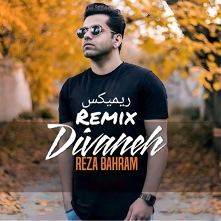 کاور آهنگ Divaneh (Remix) از Reza Bahram