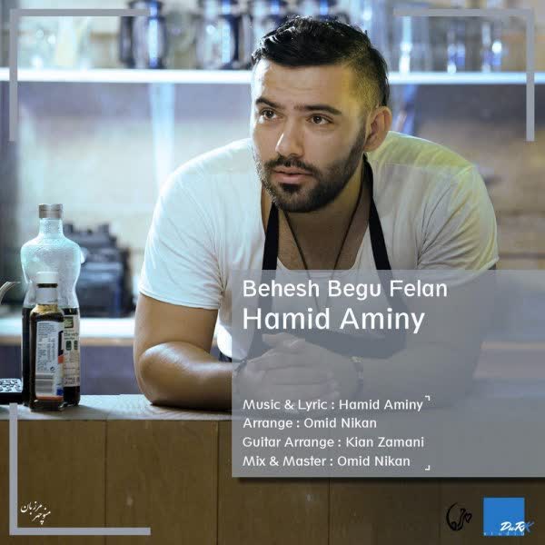 کاور آهنگ Behesh Begu Felan از حمید امینی