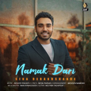 کاور آهنگ Namak Dari از Sina Derakhshande