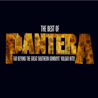 کاور آهنگ Drag the Waters از Pantera