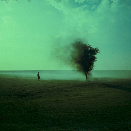 کاور آهنگ diedlonely - in the ble از dreamscape