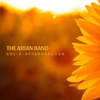 کاور آهنگ Mola Ali Jan از The Arian Band