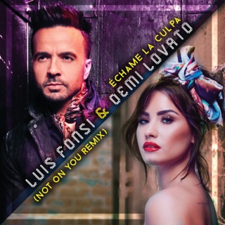 کاور آهنگ Échame La Culpa (Not On You Remix) از Luis Fonsi & Demi Lovato