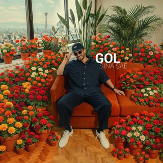 کاور آهنگ Gol از Sina Sae