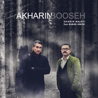کاور آهنگ Akharin Booseh (feat. Babak Amini) از Shahin Najafi