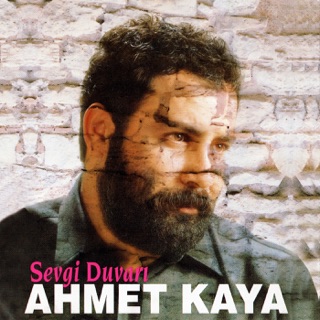 کاور آهنگ Şiire Gazele از Ahmet Kaya