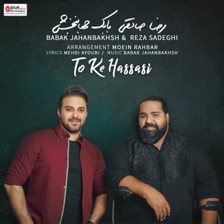 کاور آهنگ To Ke Hassasi از Babak Jahanbakhsh & Reza Sadeghi