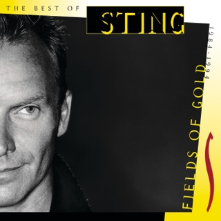 کاور آهنگ Why Should I Cry for You? از Sting