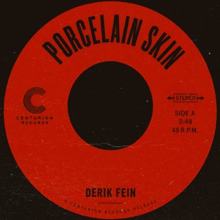کاور آهنگ Porcelain Skin از Derik Fein