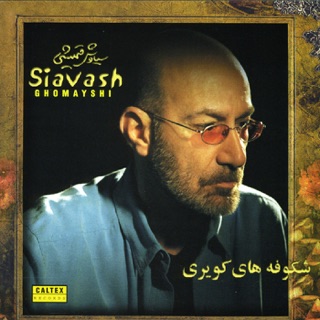 کاور آهنگ Deltangi از Siavash Ghomayshi