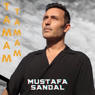 کاور آهنگ Tamam Tamam از Mustafa Sandal