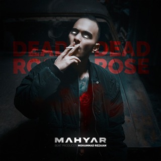 کاور آهنگ Dead Rose از Mahyar