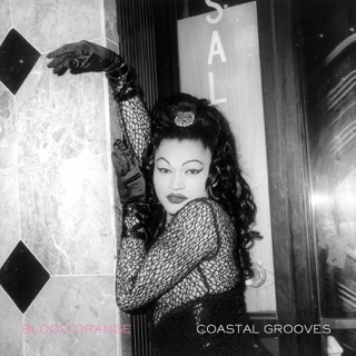 کاور آهنگ Champagne Coast از Blood Orange