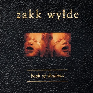 کاور آهنگ Sold My Soul از Zakk Wylde