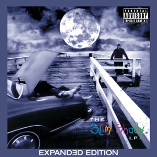 کاور آهنگ Just Don't Give a F**k (Instrumental) از Eminem