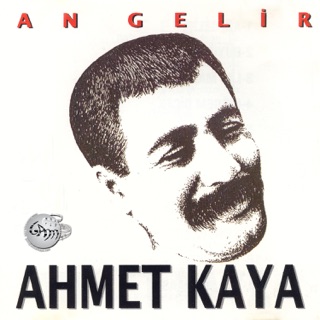 کاور آهنگ Sen İnsansın از Ahmet Kaya
