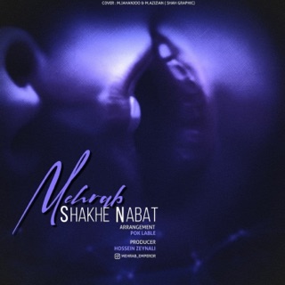 کاور آهنگ Shakhe Nabat از Mehrab