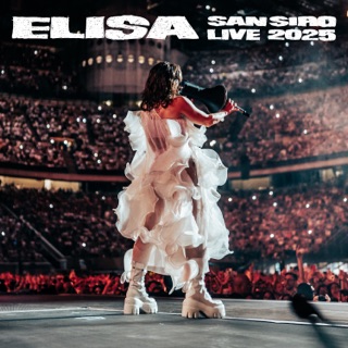 کاور آهنگ No Hero (Live San Siro 2025) از Elisa