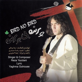 کاور آهنگ Shabname Bidari از Reza Yazdani