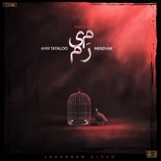 کاور آهنگ Miram (feat. Merzhak) [Instrumental] از Amir Tataloo