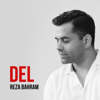 کاور آهنگ Del از Reza Bahram