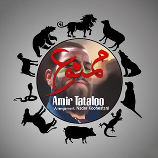 کاور آهنگ Mamane To از Amir Tataloo