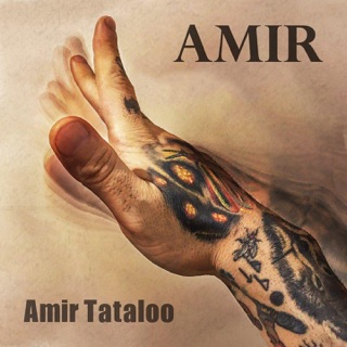 کاور آهنگ Mano Davat Karde Mehmoonishoon از Amir Tataloo