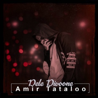 کاور آهنگ Dele Divoone (Instrumental) از Amir Tataloo