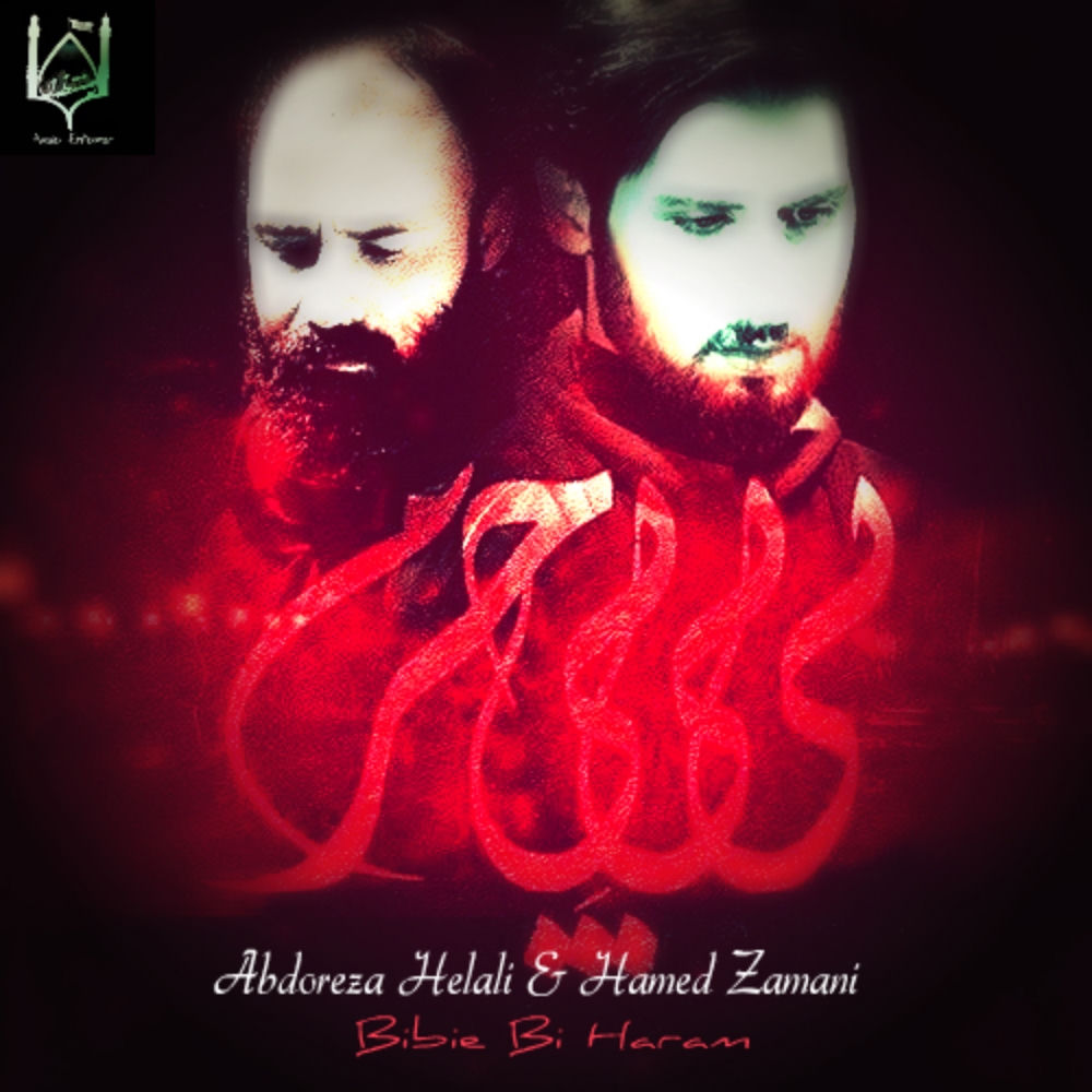 کاور آهنگ بیسیم چی از Hamed Zamani