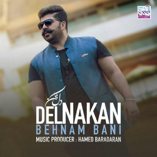 کاور آهنگ Del Nakan از Behnam Bani