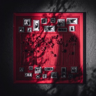 کاور آهنگ Raftan Asoone (feat. Tamara) از Erfan