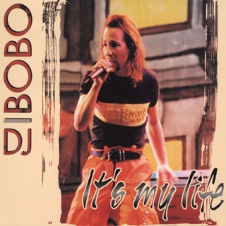 کاور آهنگ It's My Life (Instrumental) از DJ BoBo