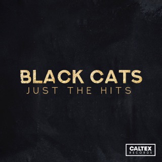 کاور آهنگ Randez-Vous (feat. KAMRAN & HOOMAN) از Black Cats