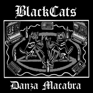 کاور آهنگ Isolation از Black Cats