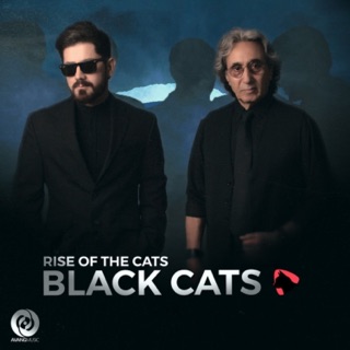 کاور آهنگ Namoondi از Black Cats