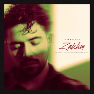 کاور آهنگ Zakhm از Shervin Hajipour