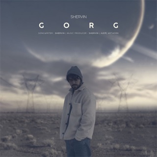 کاور آهنگ Gorg از Shervin Hajipour