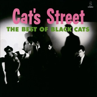 کاور آهنگ I.Ai.Ai - Waiting For You (2021 Remaster) از Black Cats