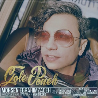 کاور آهنگ Gole Poone از Mohsen Ebrahimzadeh