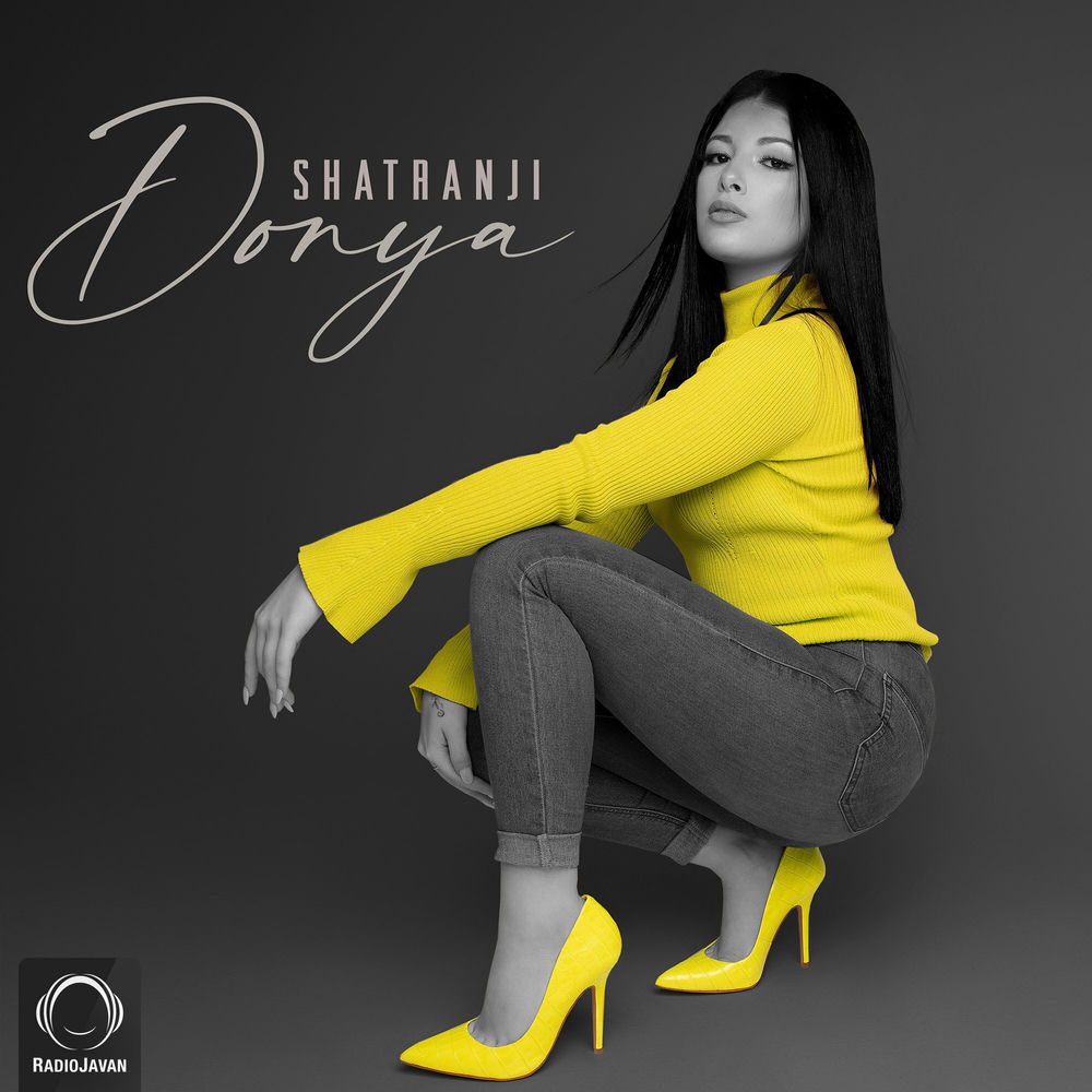 کاور آهنگ The Theme از Donya