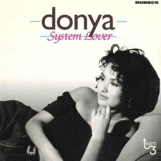 کاور آهنگ System Lover (In'swing'mental Version) از Donya