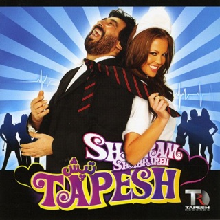کاور آهنگ Tou Hezaari از Shahram Shabpareh