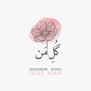 کاور آهنگ Gole Man از Shadmehr Aghili